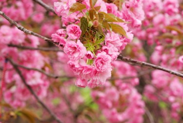 金华磐安线下个人借款平台一站式服务，轻松解决资金难题