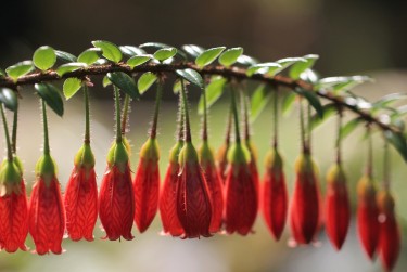 金华磐安零用贷短借：轻松解决临时资金需求