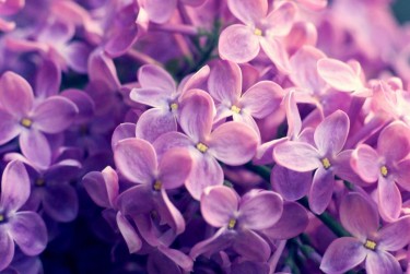 金华磐安企业急用钱贷款攻略：快速融资解燃眉之急